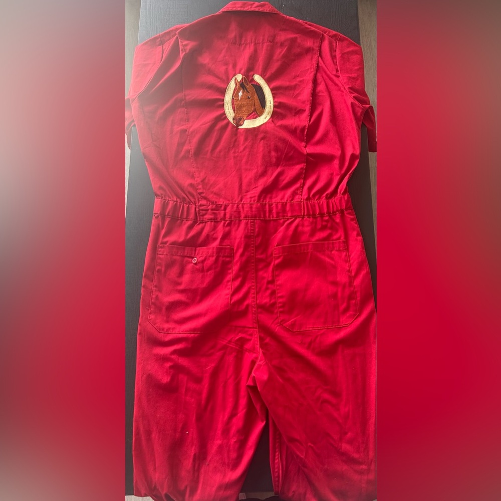 Red Embroidered Jumpsuit